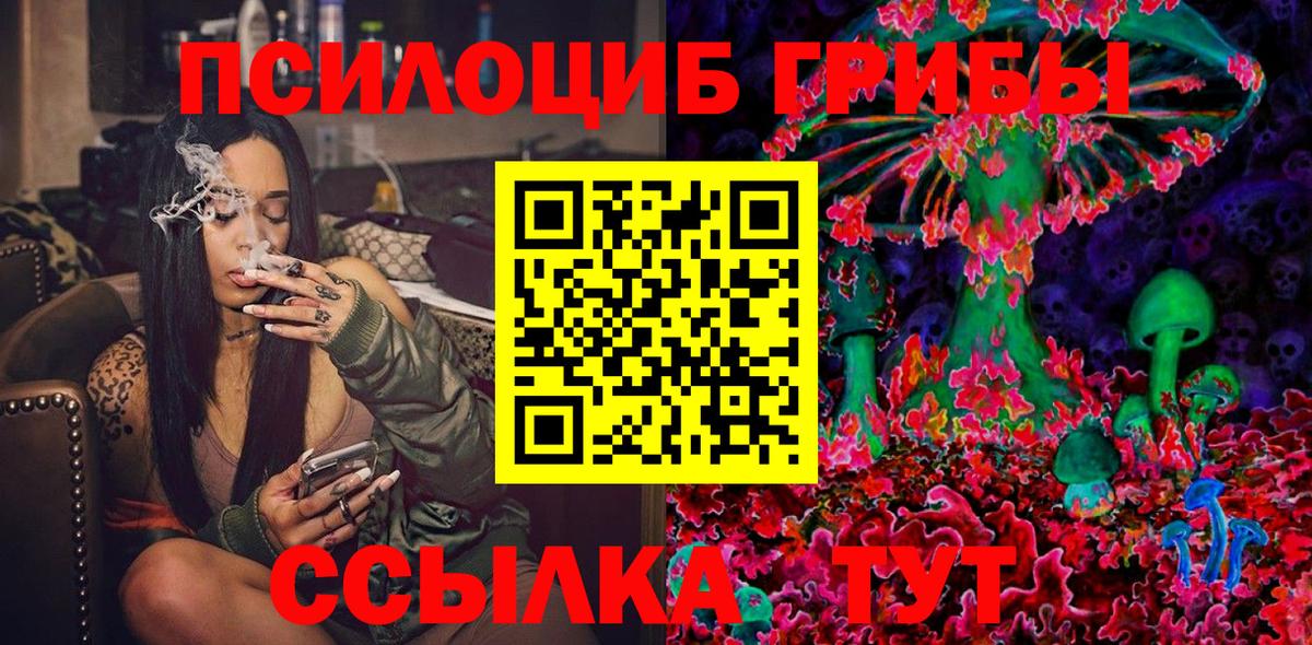 Галлюциногенные грибы Psilocybe  Галлюциногенные грибы прущие грибы  Белово  Вход с VPN 