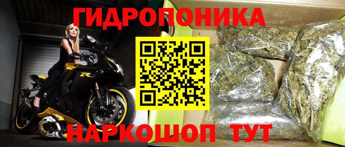 Конопля семена  Конопля ГИДРОПОН  Марихуана Ganja  Конопля гибрид  Белово  Вход с VPN 